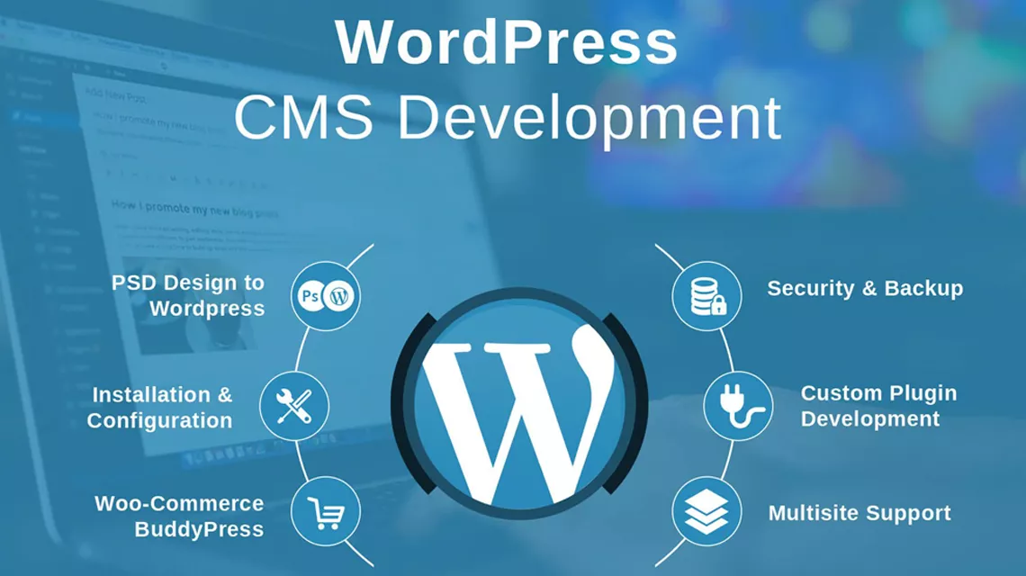 basic wordPress development